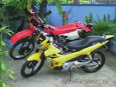 Bike Photo 390447
