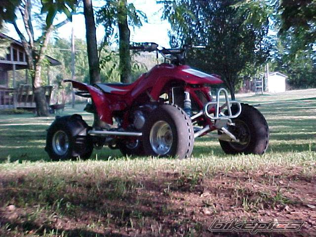 Bike Photo 39048