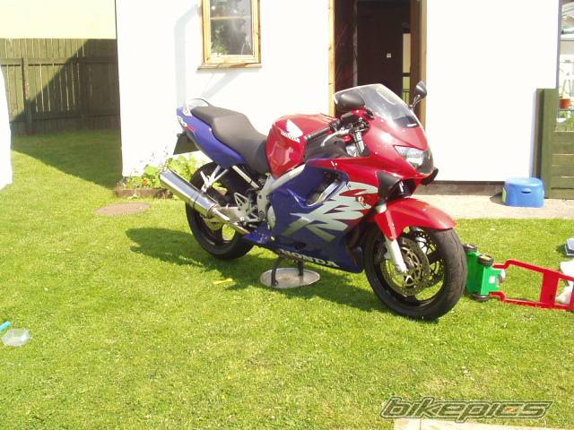 Photo 390512