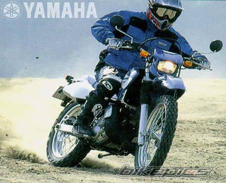 Bike Photo 3908