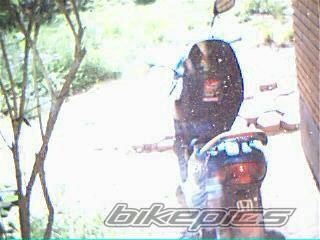 Photo 390858