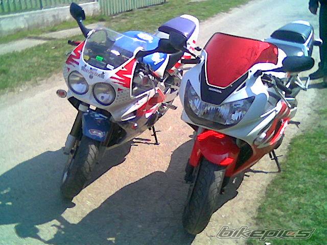 Photo 390966