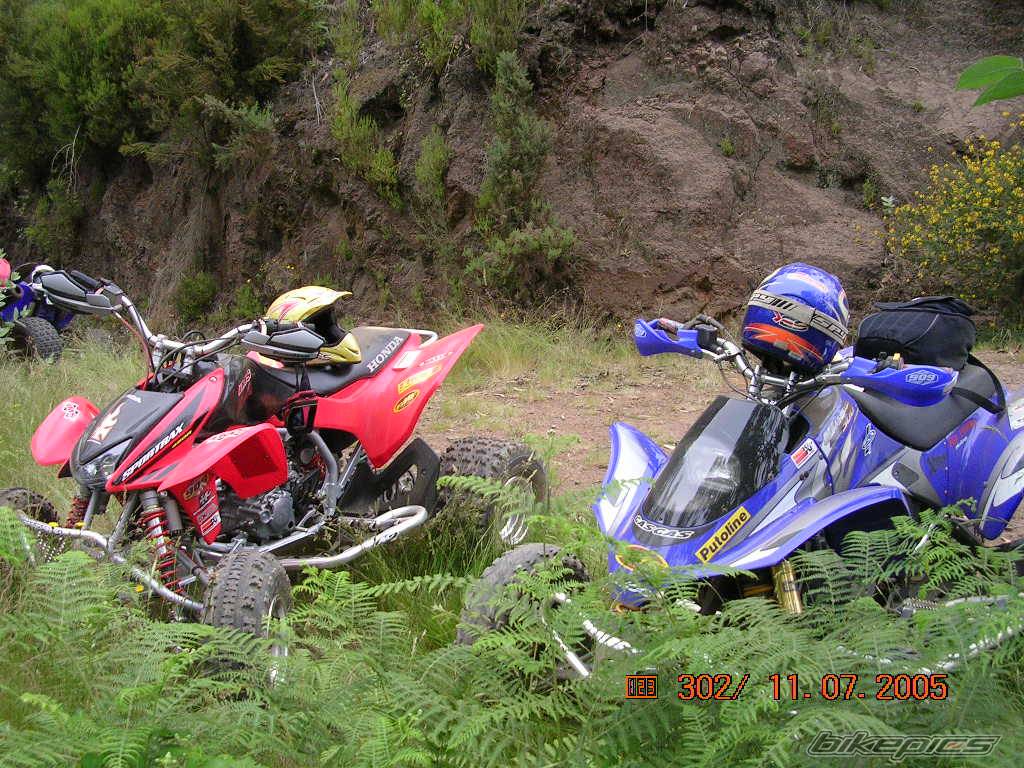 Photo 390978