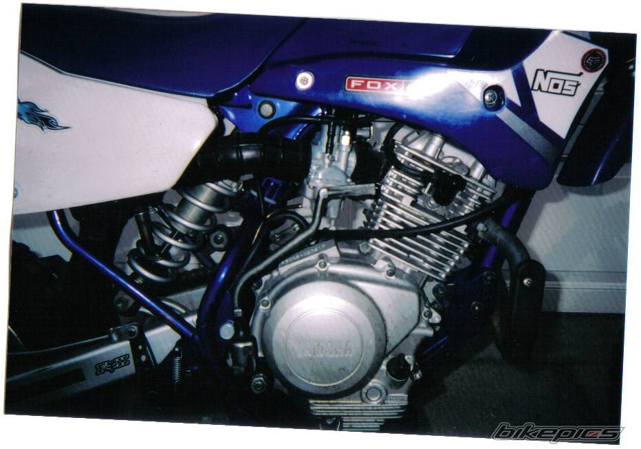 Bike Photo 391056