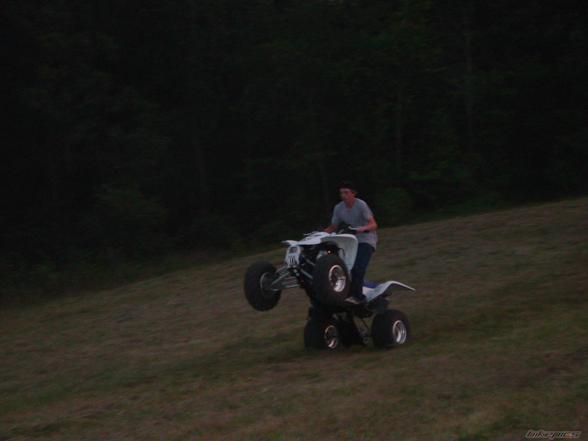Photo 391094