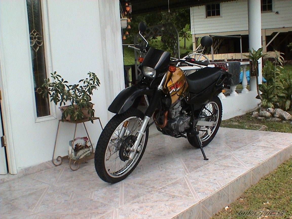 Bike Photo 391110