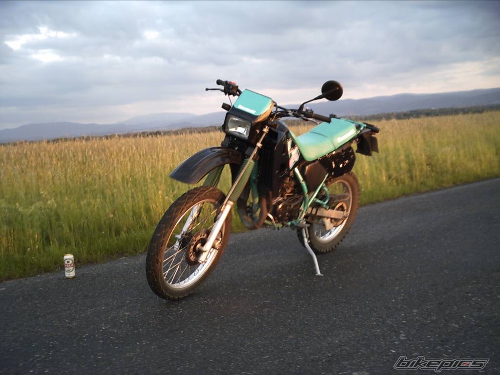 Bike Photo 391153
