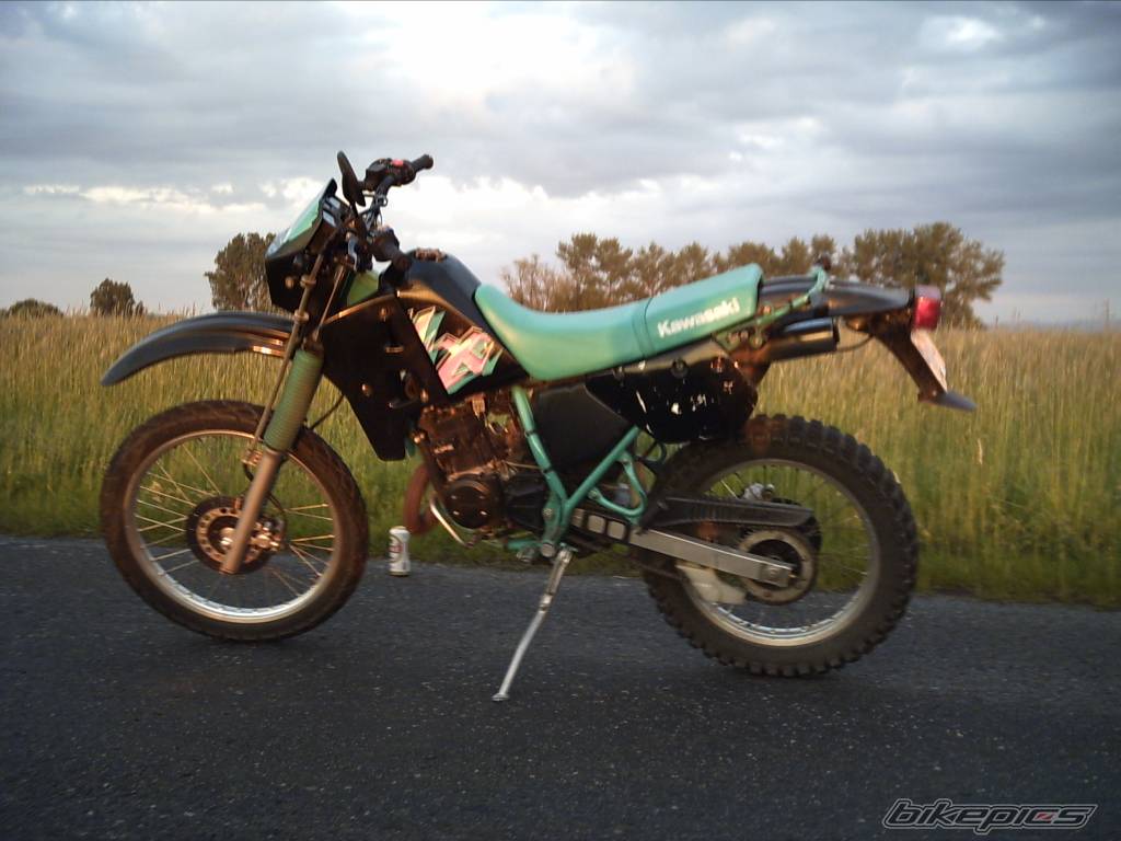 Bike Photo 391154