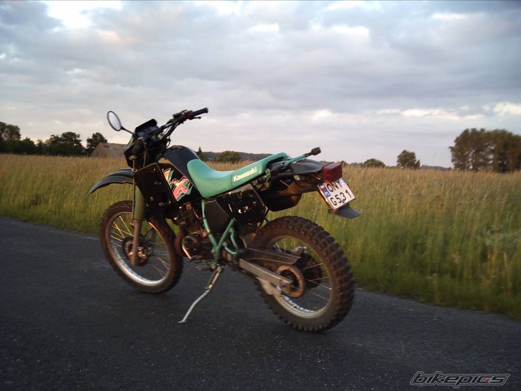 Bike Photo 391156