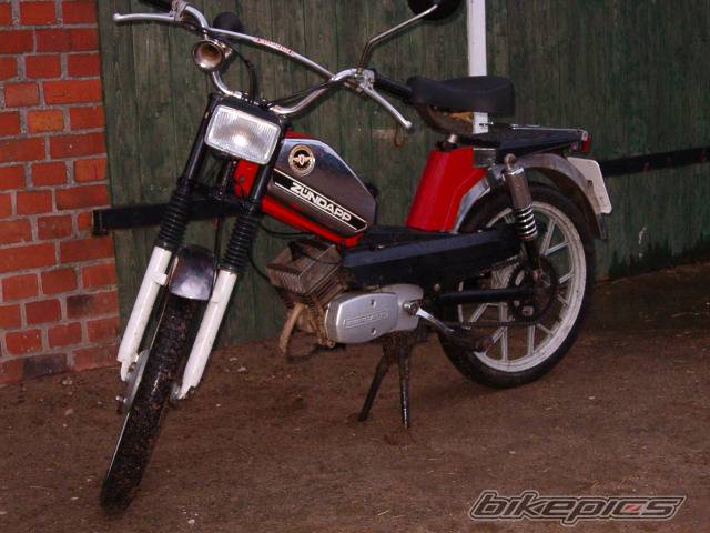 Photo 391246