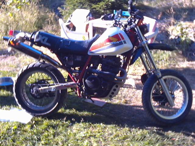 Photo 391442