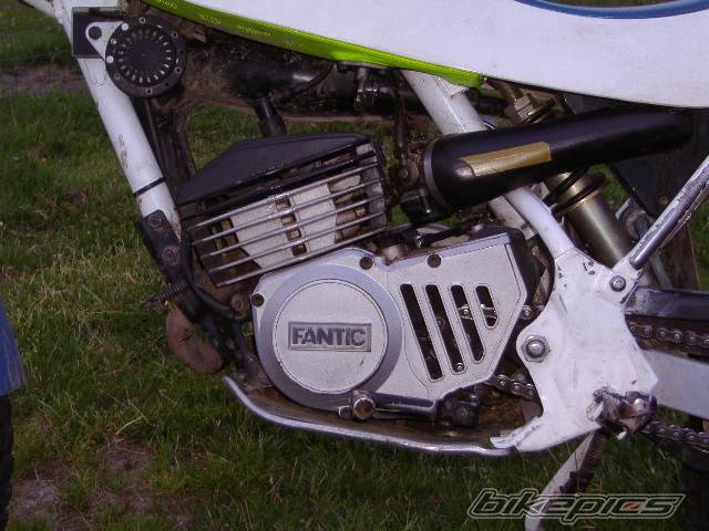 Clubman 50