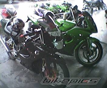 Photo 391591
