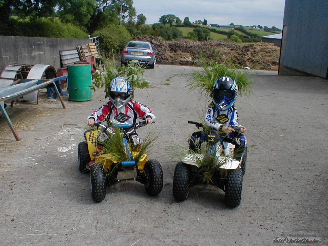 Photo 391826
