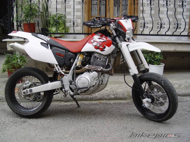 Bike Photo 391879