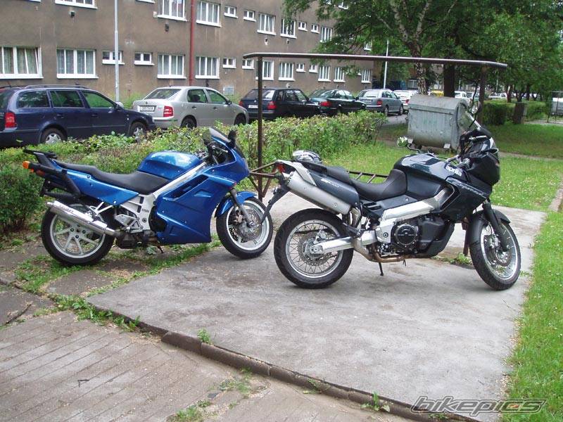 Bike Photo 391887