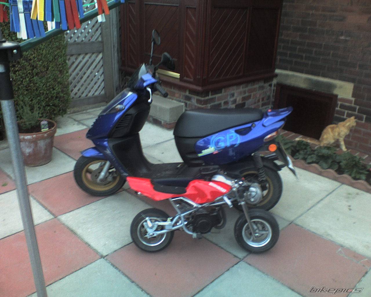 Bike Photo 391906