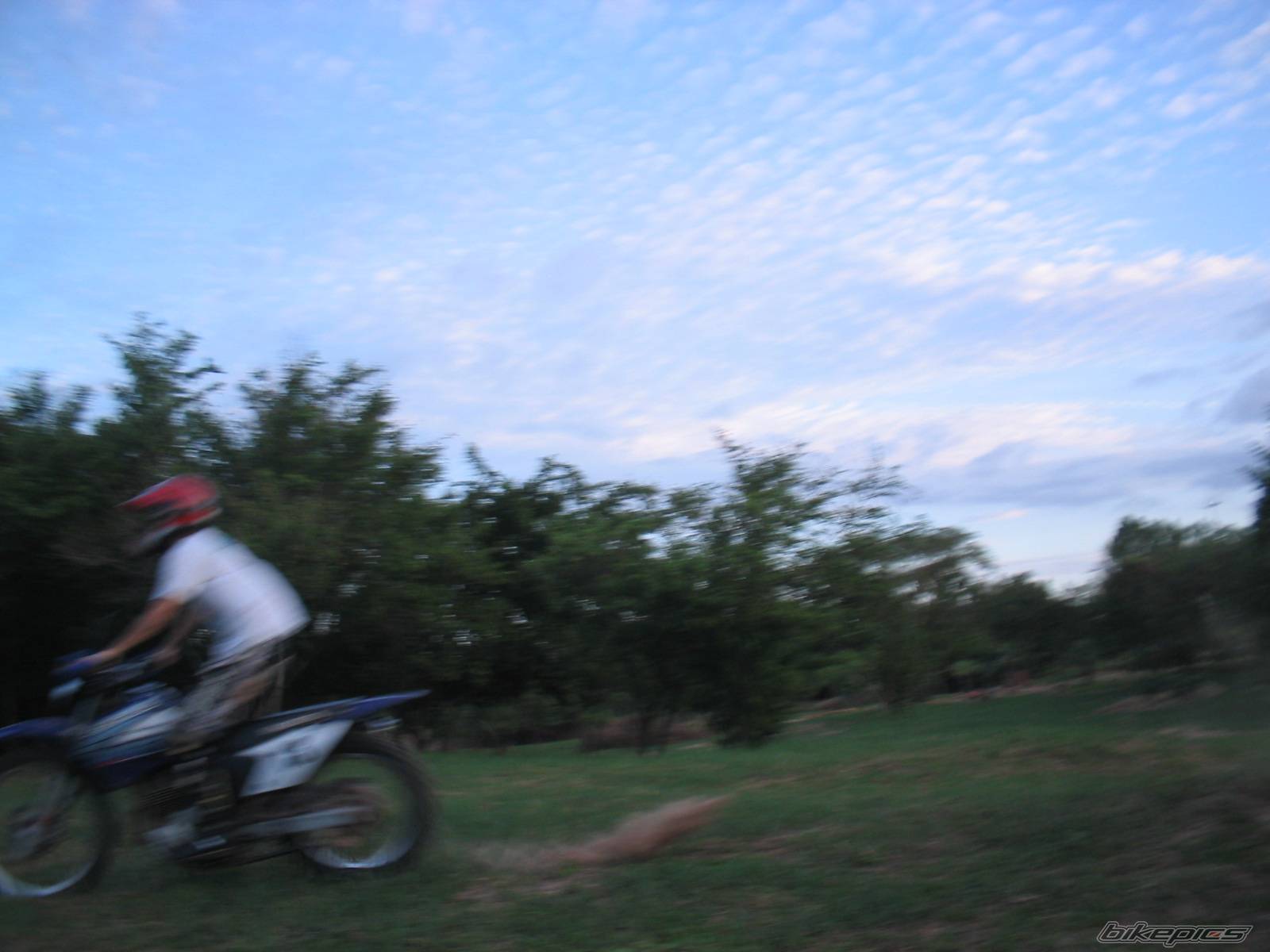 Photo 391927