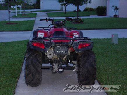 Photo 391933