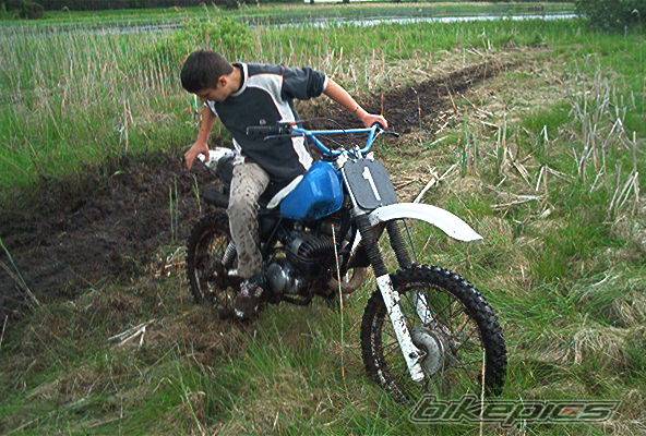 Photo 391966