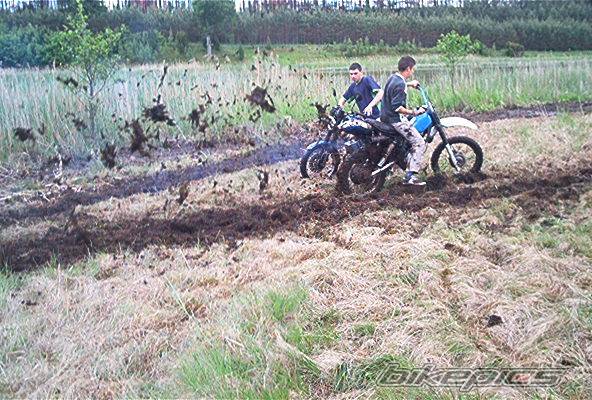 Photo 391986
