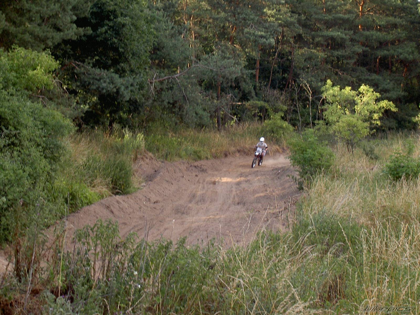 Photo 391993