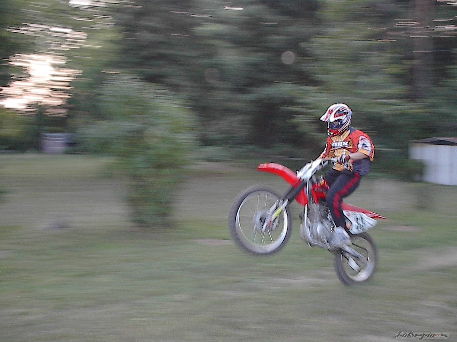 Photo 391998
