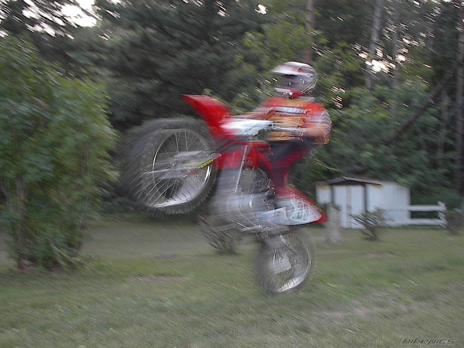 Photo 391999