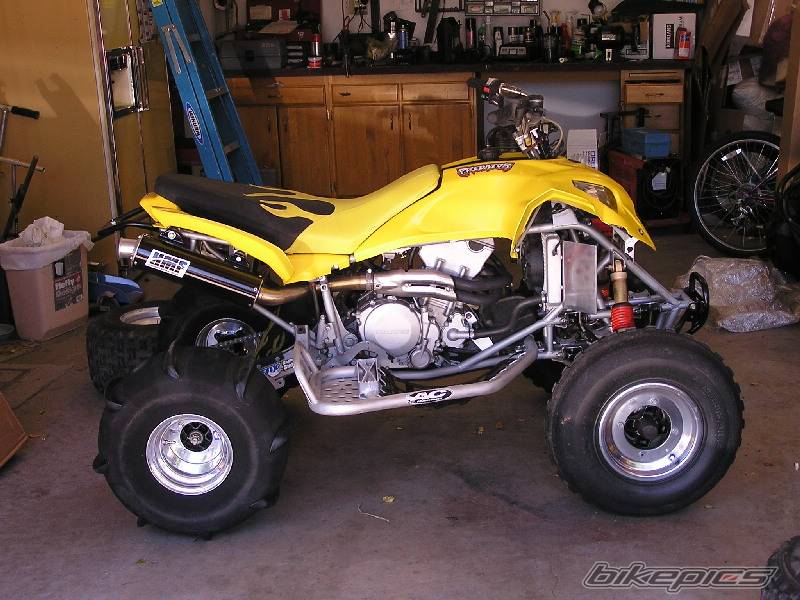 Photo 392041