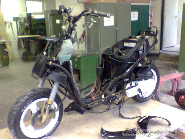 Photo 392073