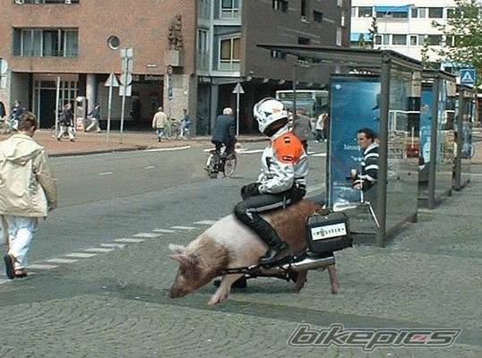 Photo 392230