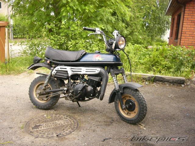 Photo 392299