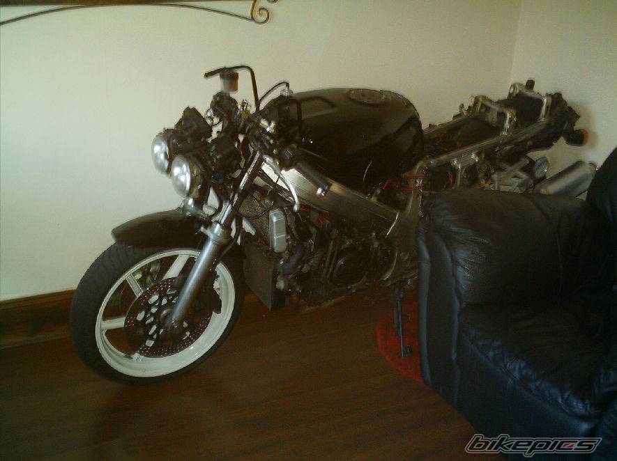 Photo 392332