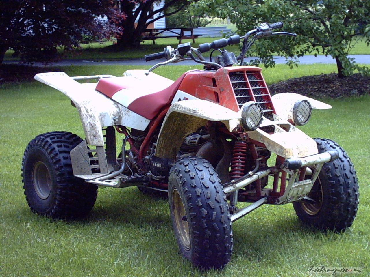 Bike Photo 392385