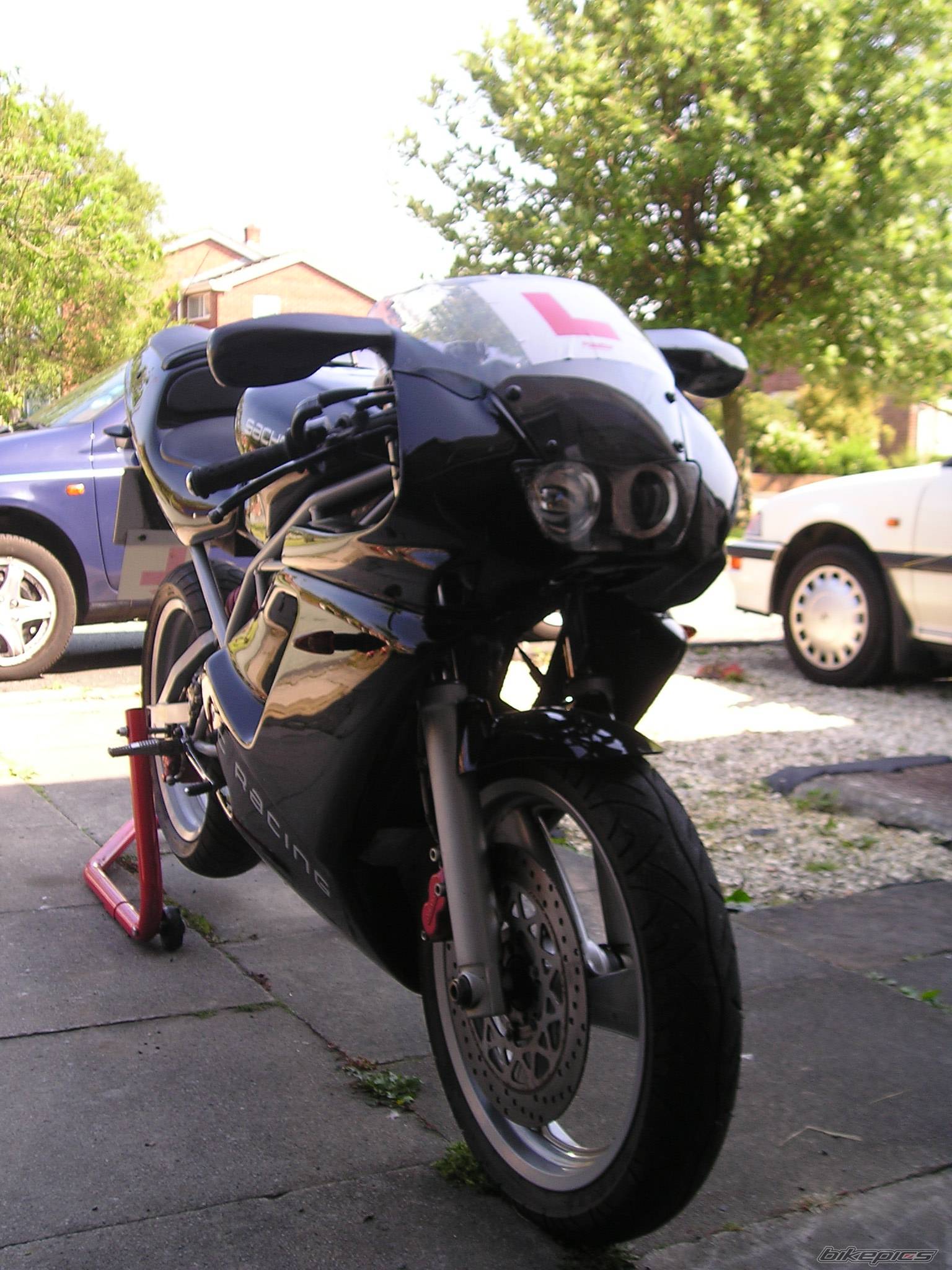 Photo 392422