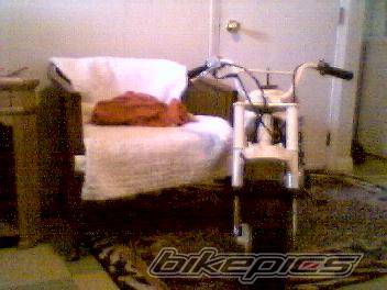 Bike Photo 392483