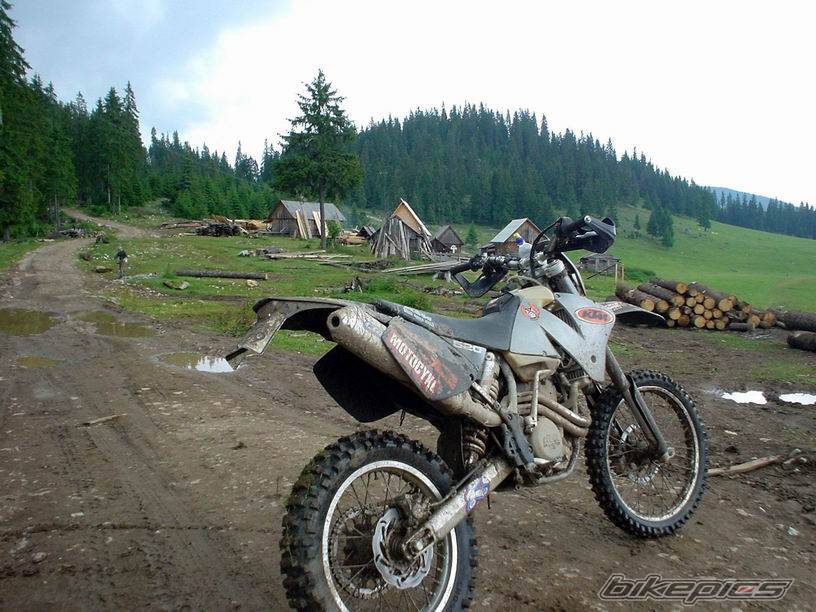 Photo 392566