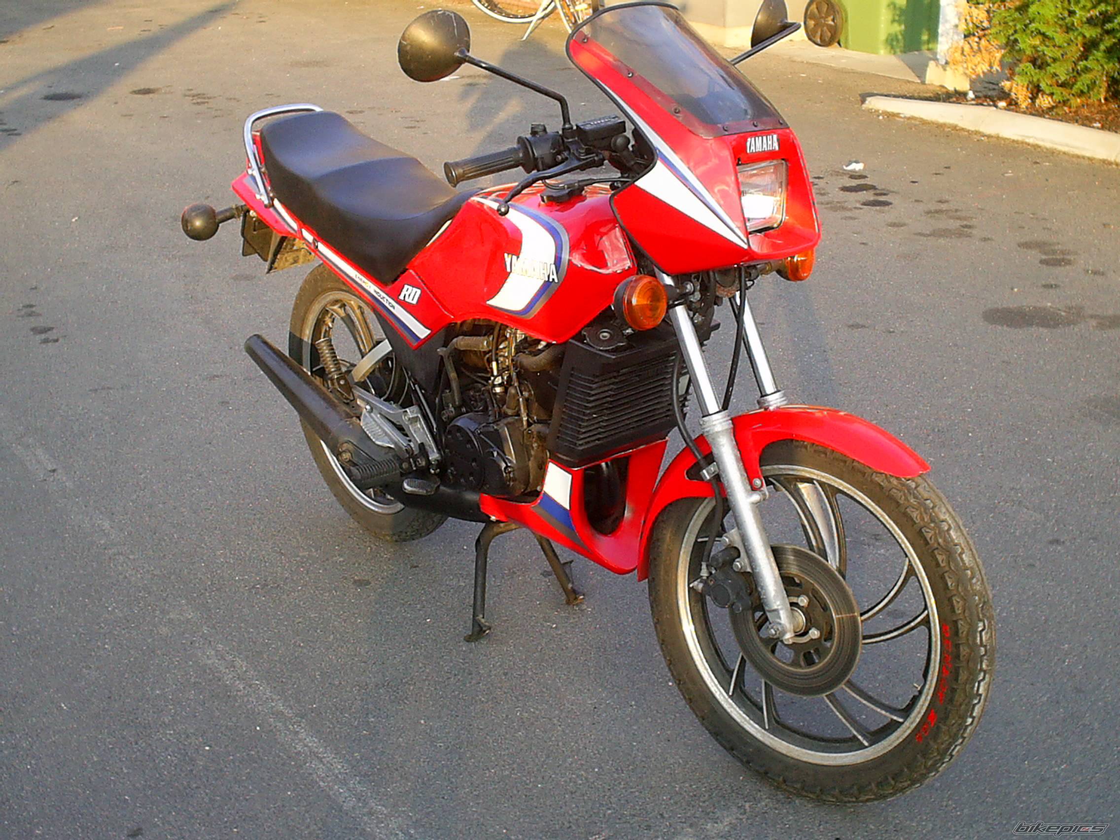 Bike Photo 392574