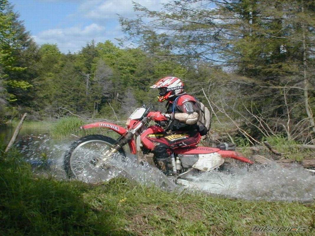 Bike Photo 392620