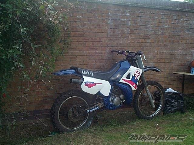 Photo 39280