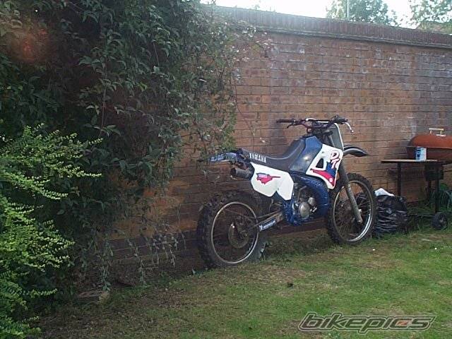 Photo 39286