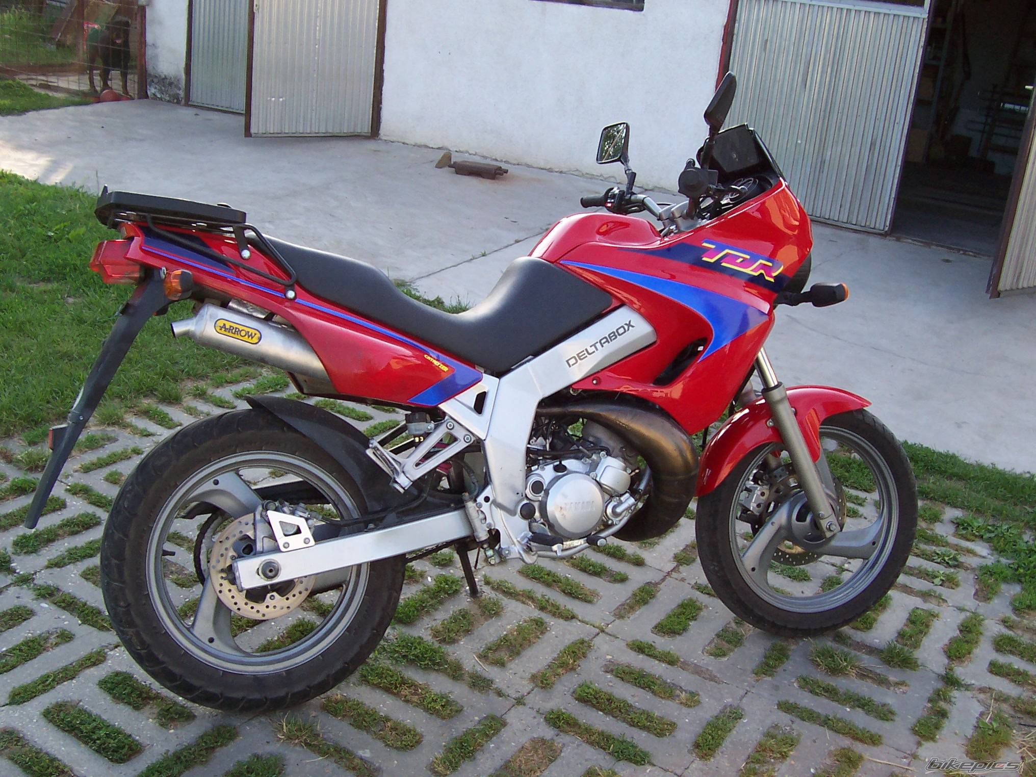Bike Photo 392862
