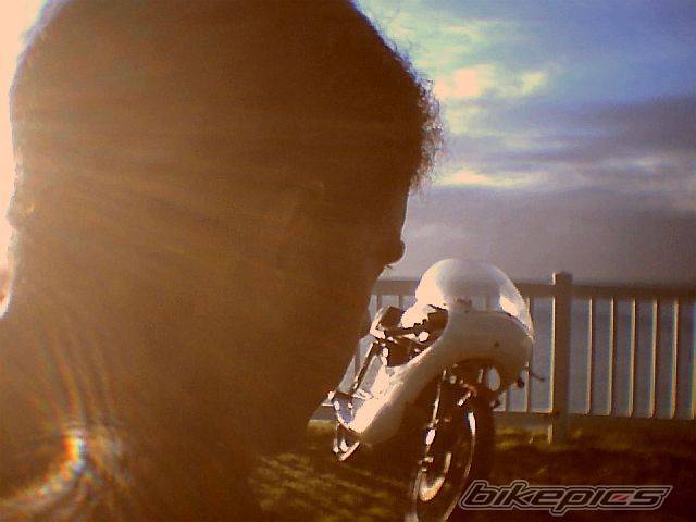 Photo 392917