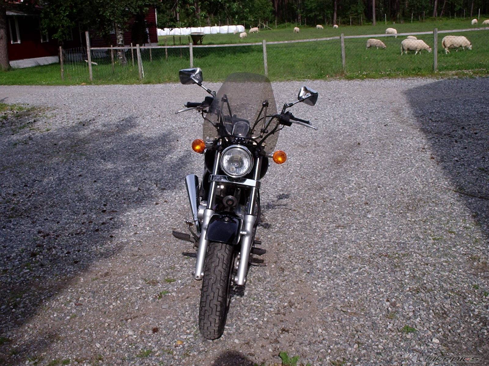 Photo 393082