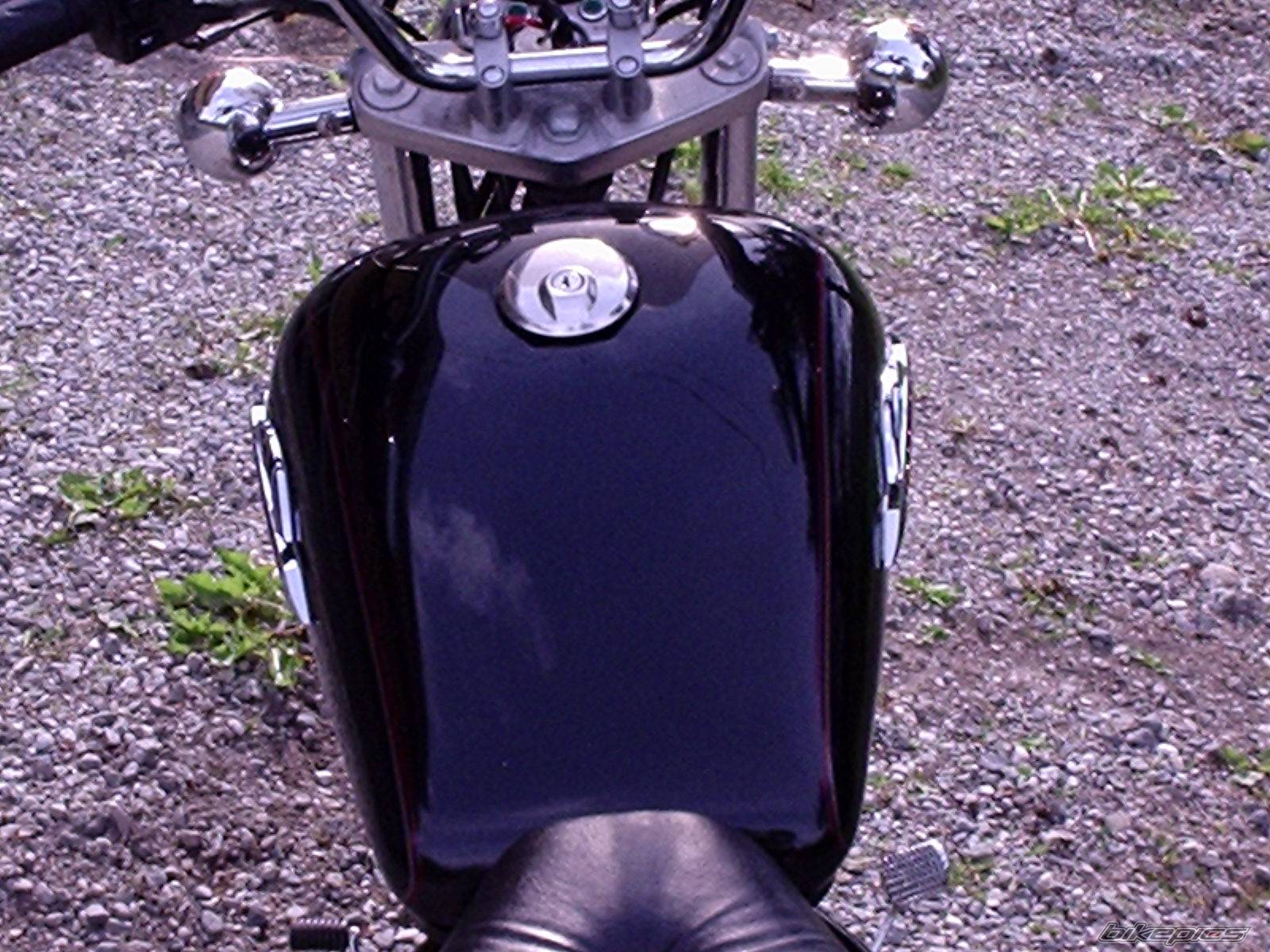Photo 393085