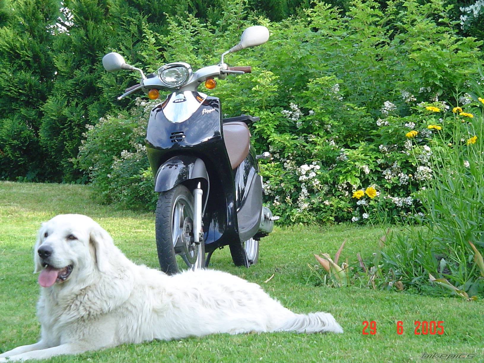 Bike Photo 393090