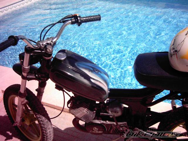 Photo 393091