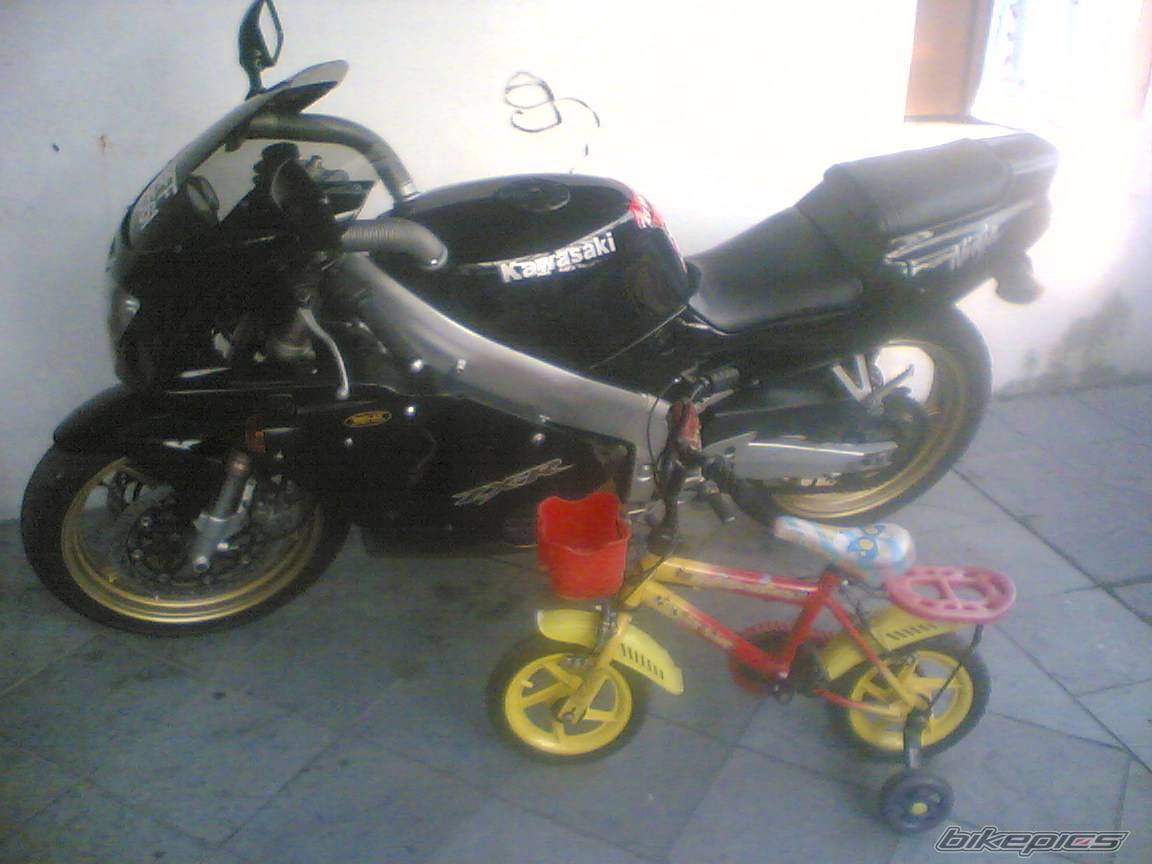 Photo 393220