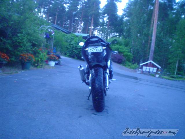 Photo 393361