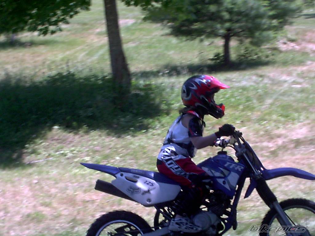 Photo 393597